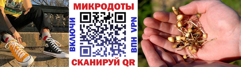 Псилоцибиновые грибы Psilocybe  купить   Севск 